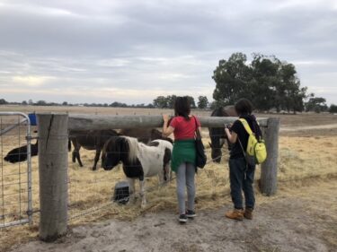 サウスに行く際の穴場休憩スポット Midway Farm Stall