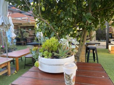 お花屋さんカフェ Green Bunch
