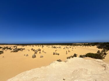 ドリプラピナクルズチャーター2025年